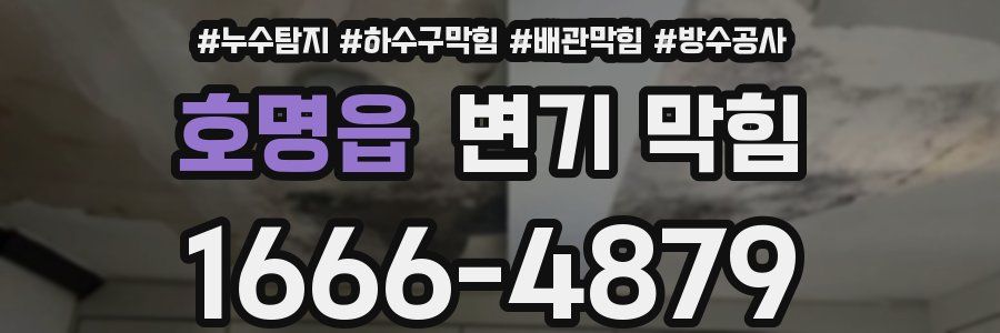 호명읍 변기 막힘