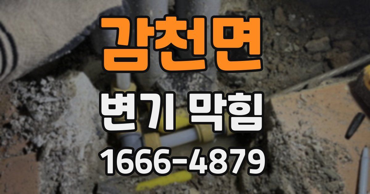 감천면 변기 막힘