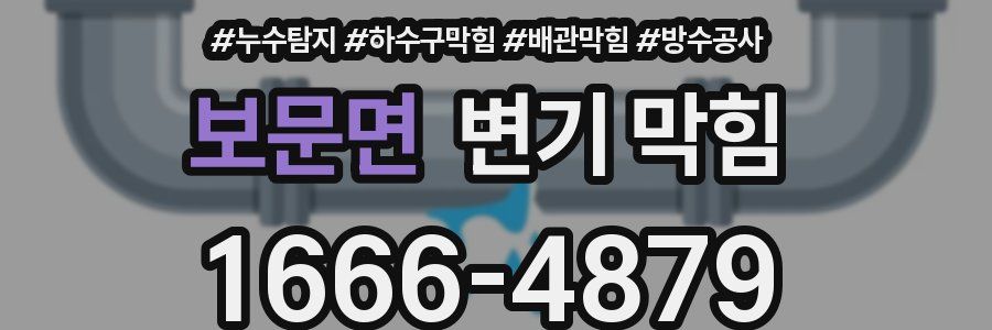 보문면 변기 막힘