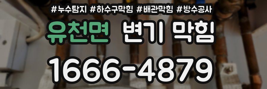 유천면 변기 막힘