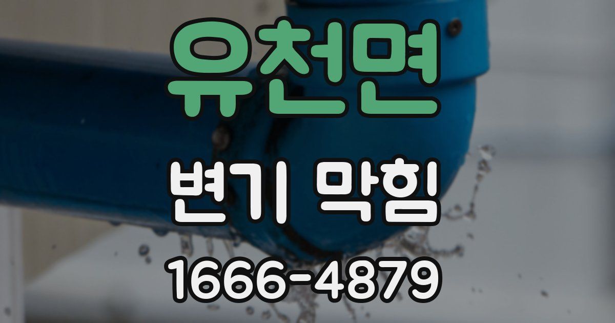 유천면 변기 막힘