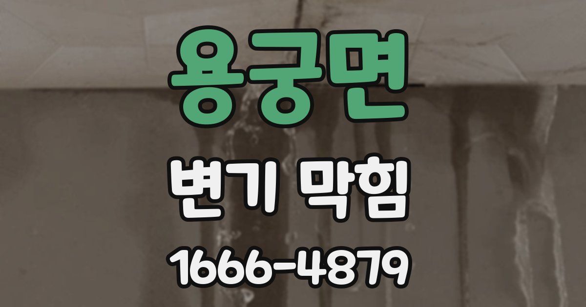 용궁면 변기 막힘