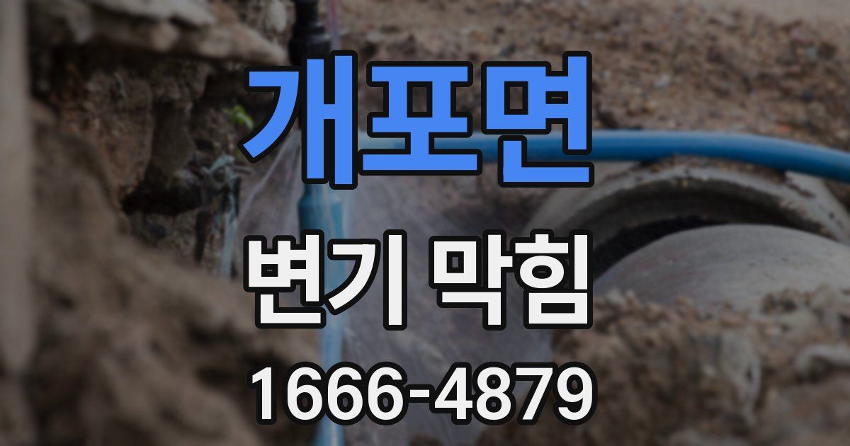 개포면 변기 막힘