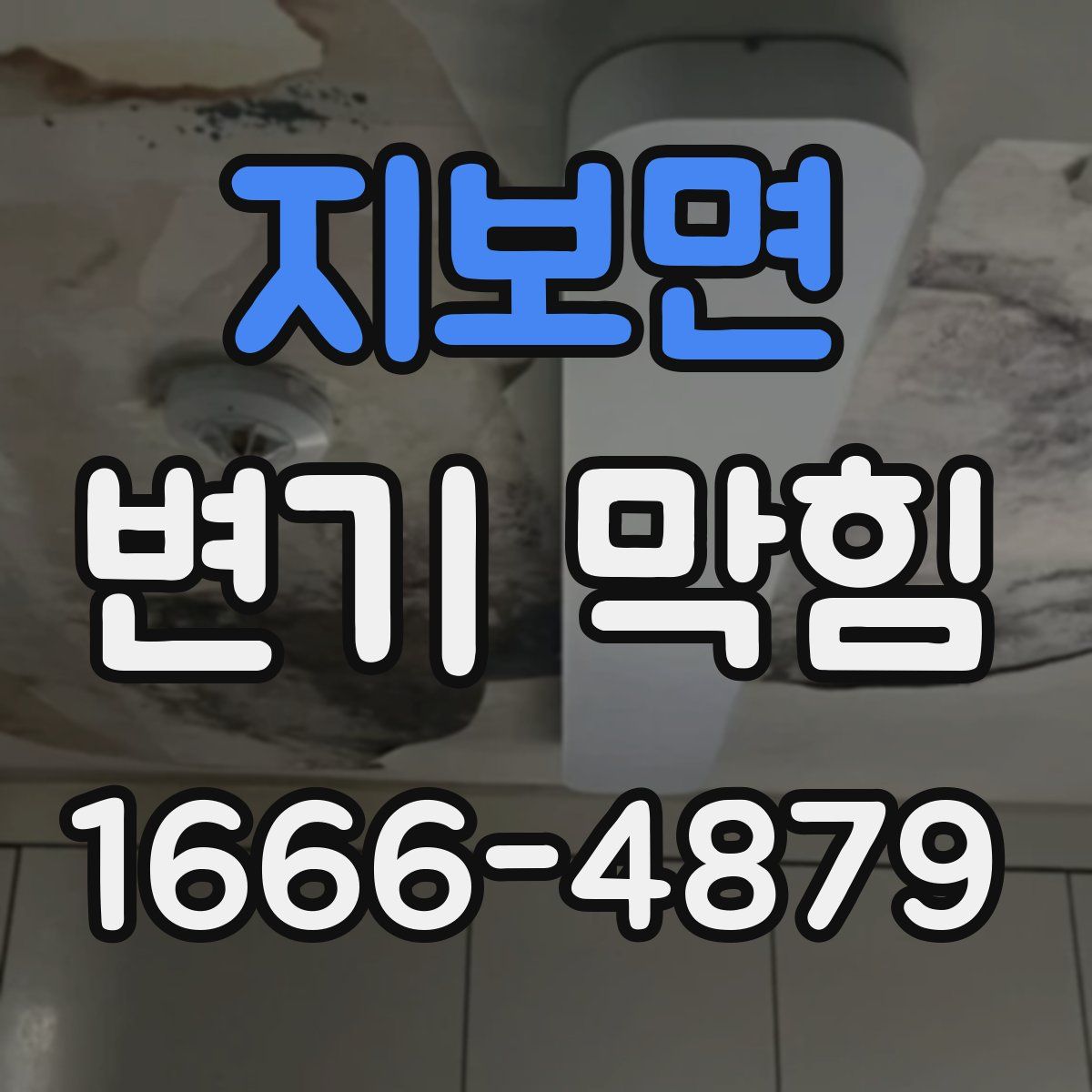 지보면 변기 막힘