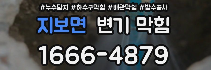 지보면 변기 막힘