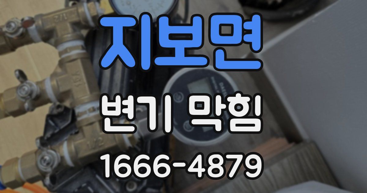 지보면 변기 막힘