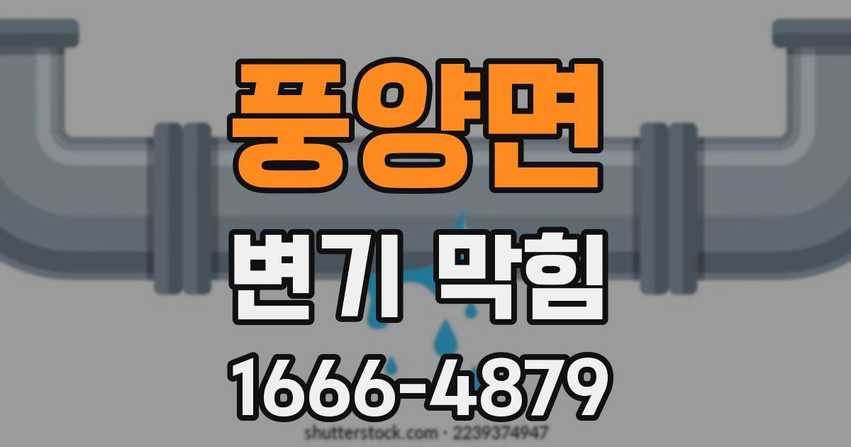 풍양면 변기 막힘