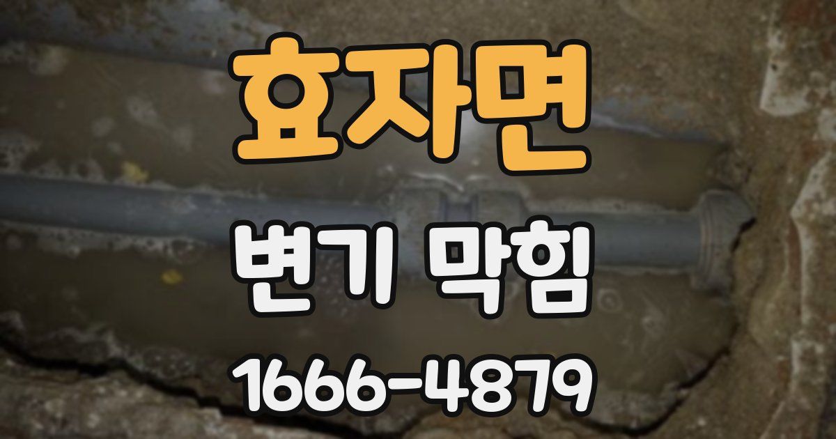 효자면 변기 막힘