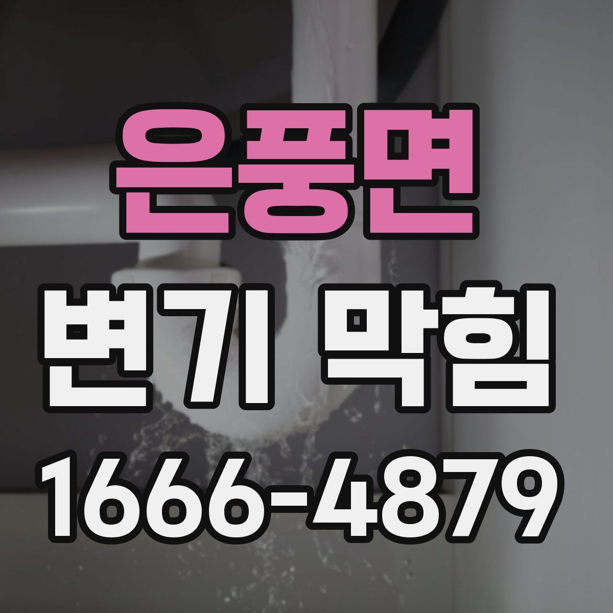 은풍면 변기 막힘