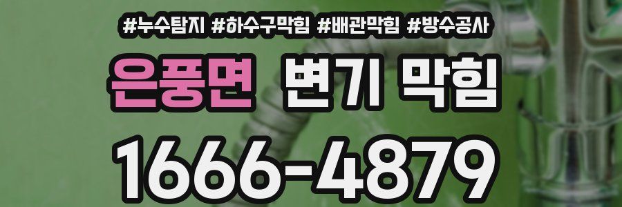 은풍면 변기 막힘