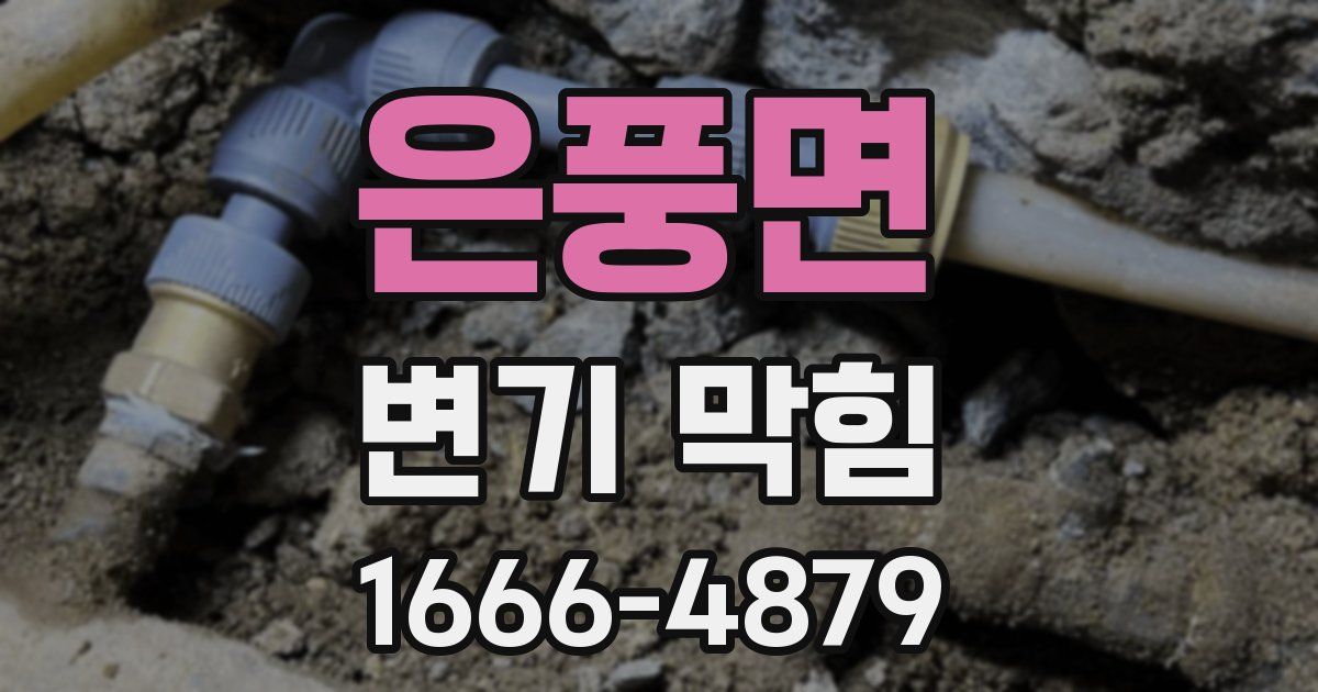 은풍면 변기 막힘