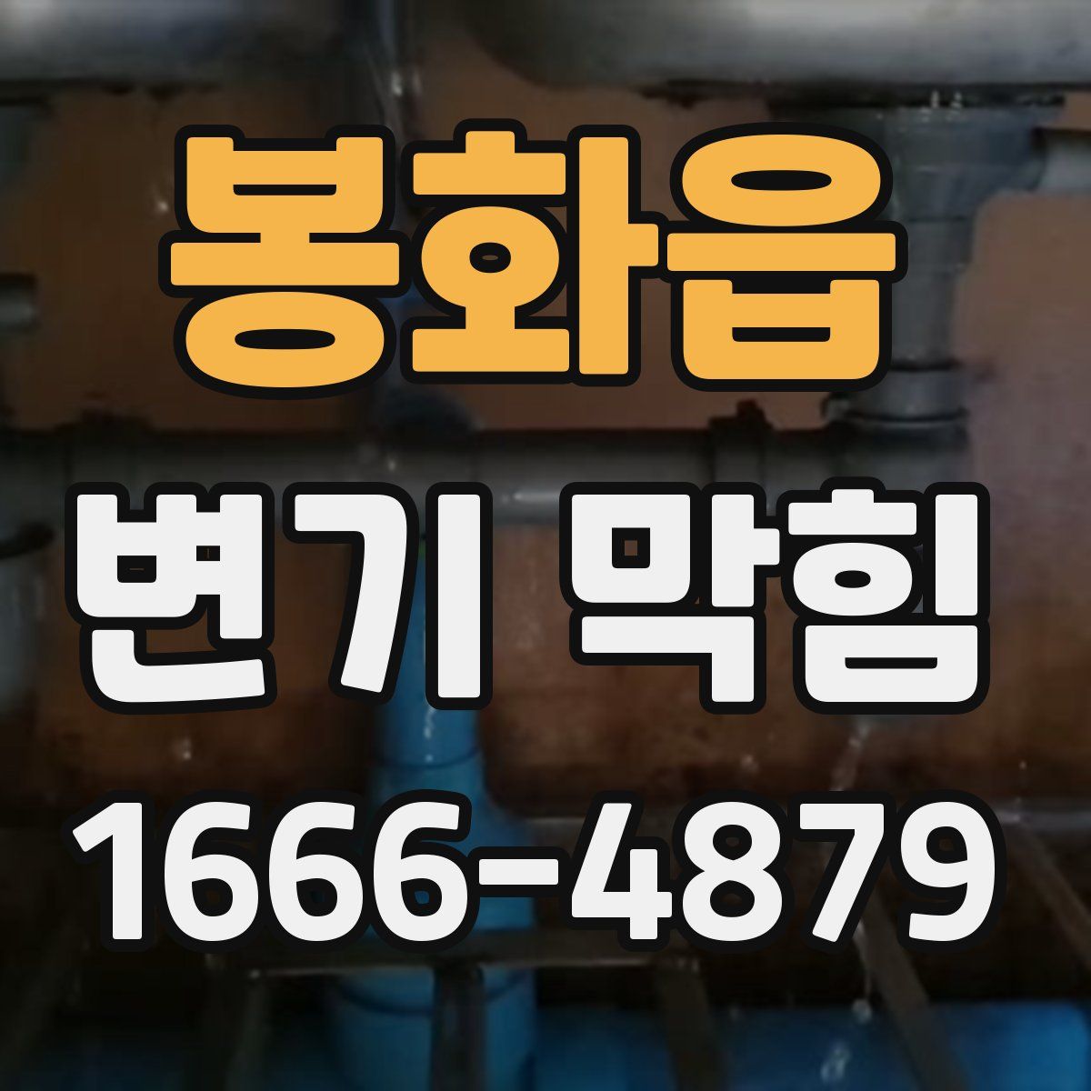 봉화읍 변기 막힘