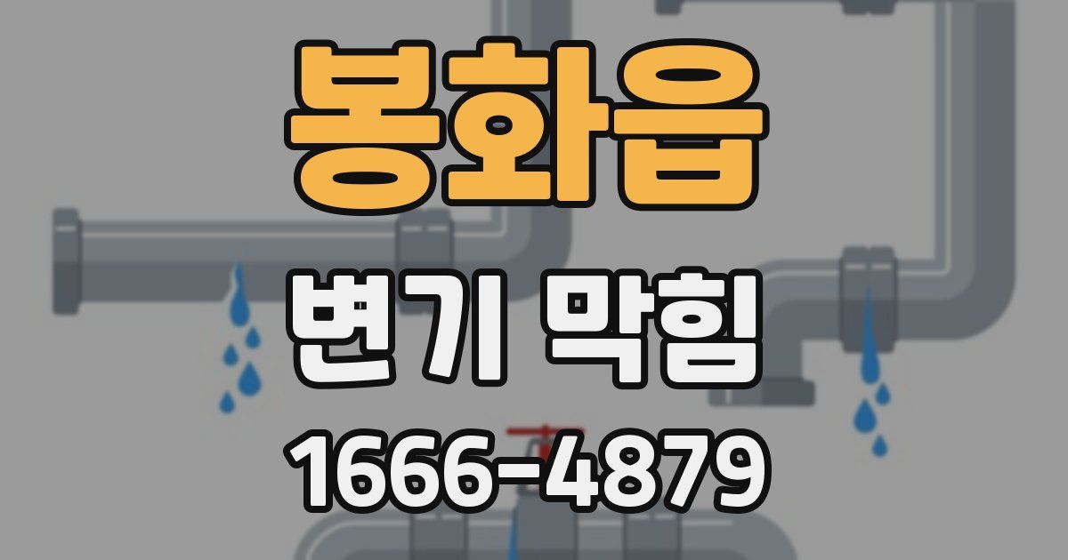 봉화읍 변기 막힘