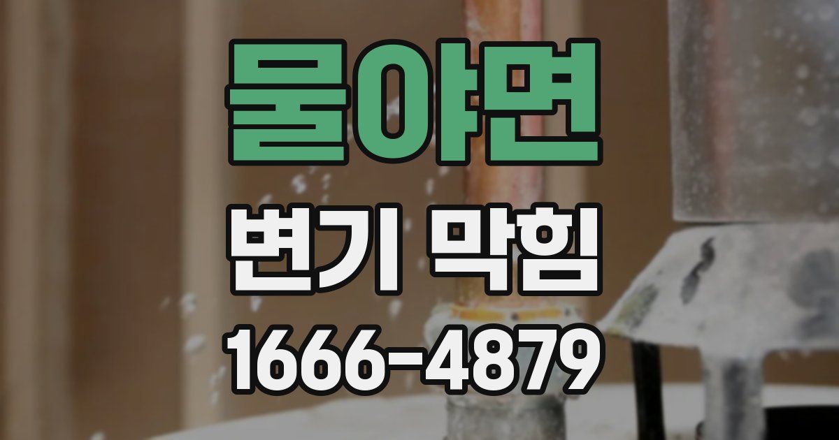 물야면 변기 막힘