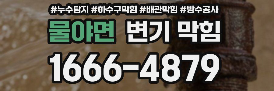 물야면 변기 막힘