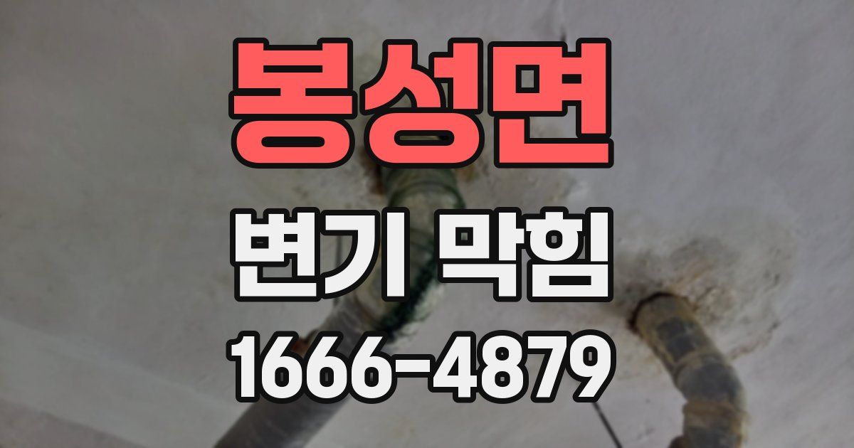 봉성면 변기 막힘
