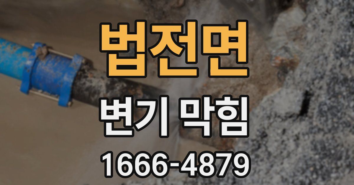 법전면 변기 막힘