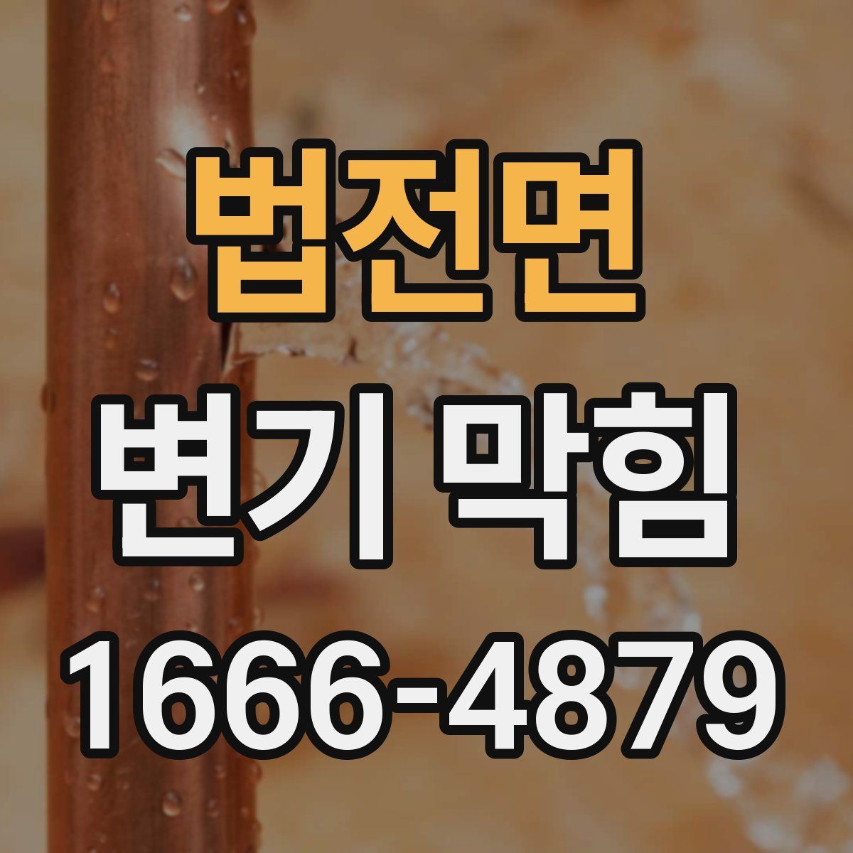 법전면 변기 막힘