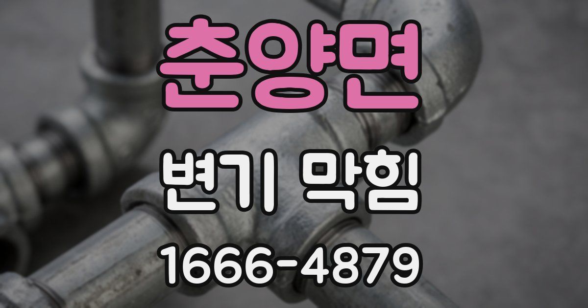 춘양면 변기 막힘