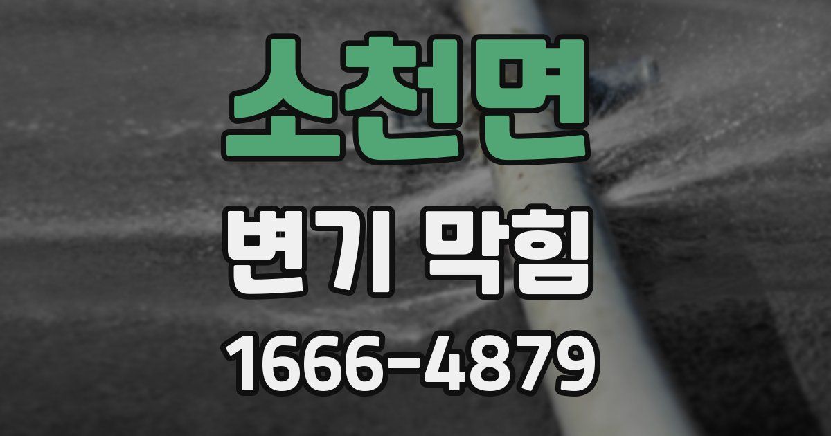 소천면 변기 막힘