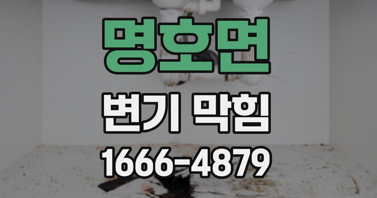 명호면 변기 막힘