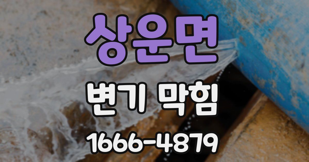 상운면 변기 막힘