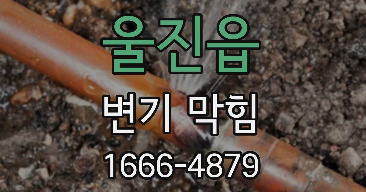 울진읍 변기 막힘