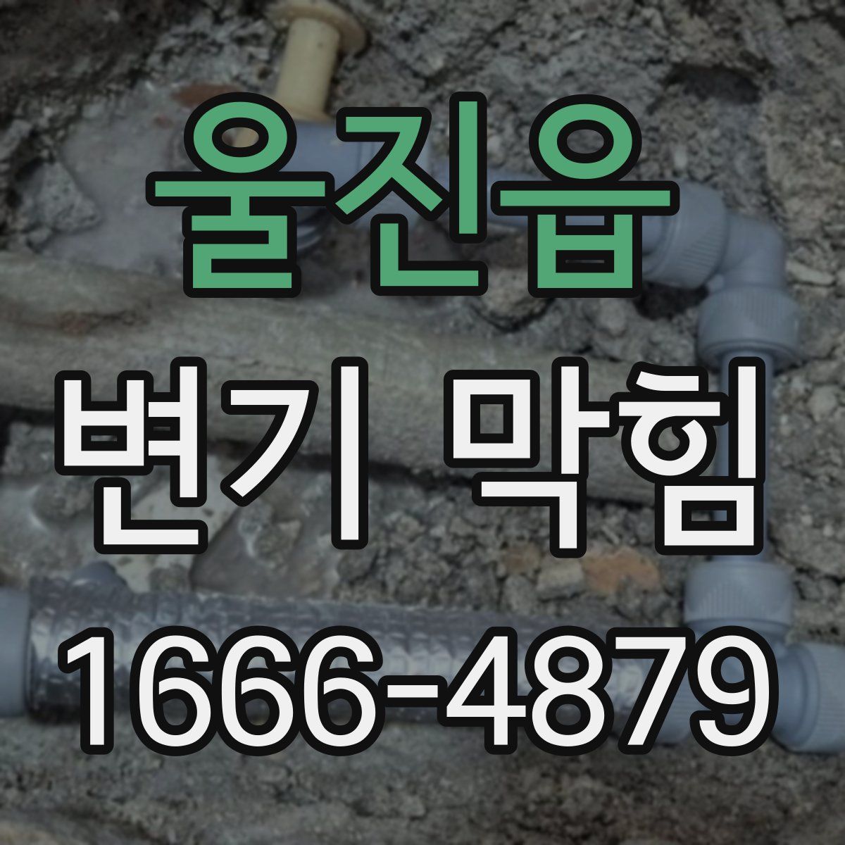 울진읍 변기 막힘