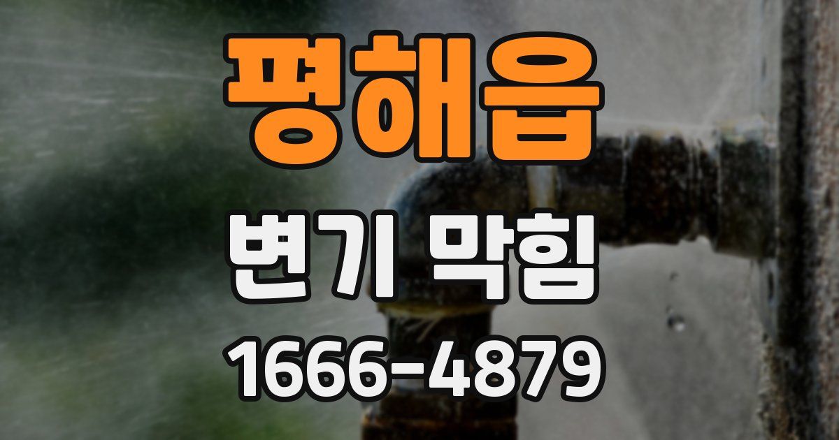 평해읍 변기 막힘