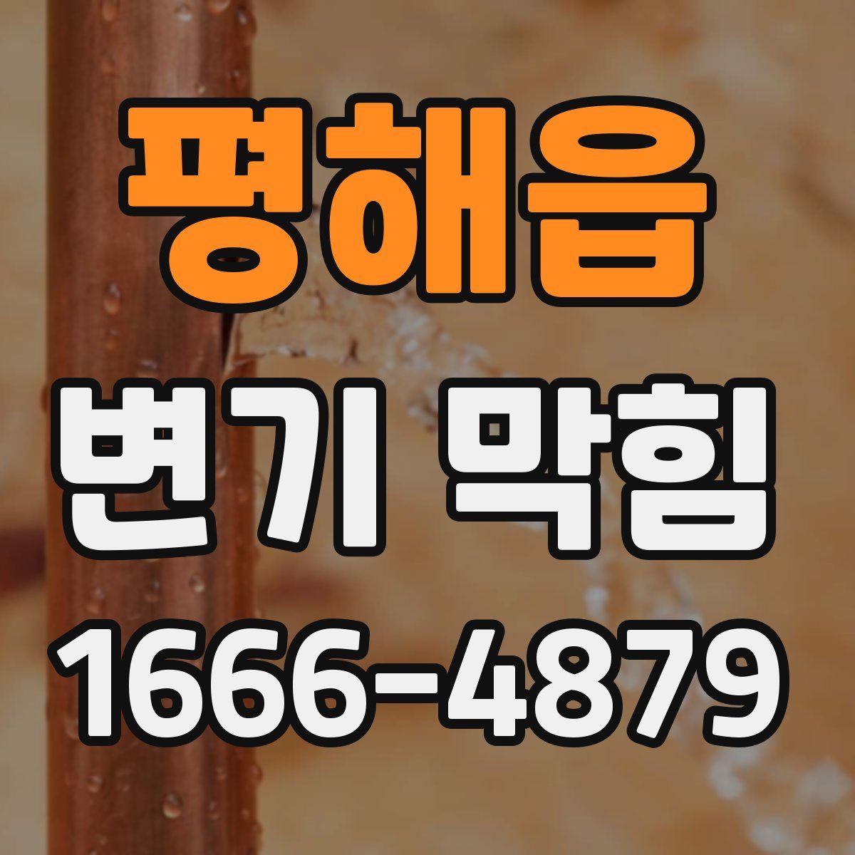 평해읍 변기 막힘