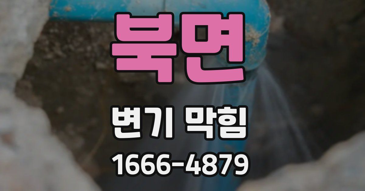 북면 변기 막힘