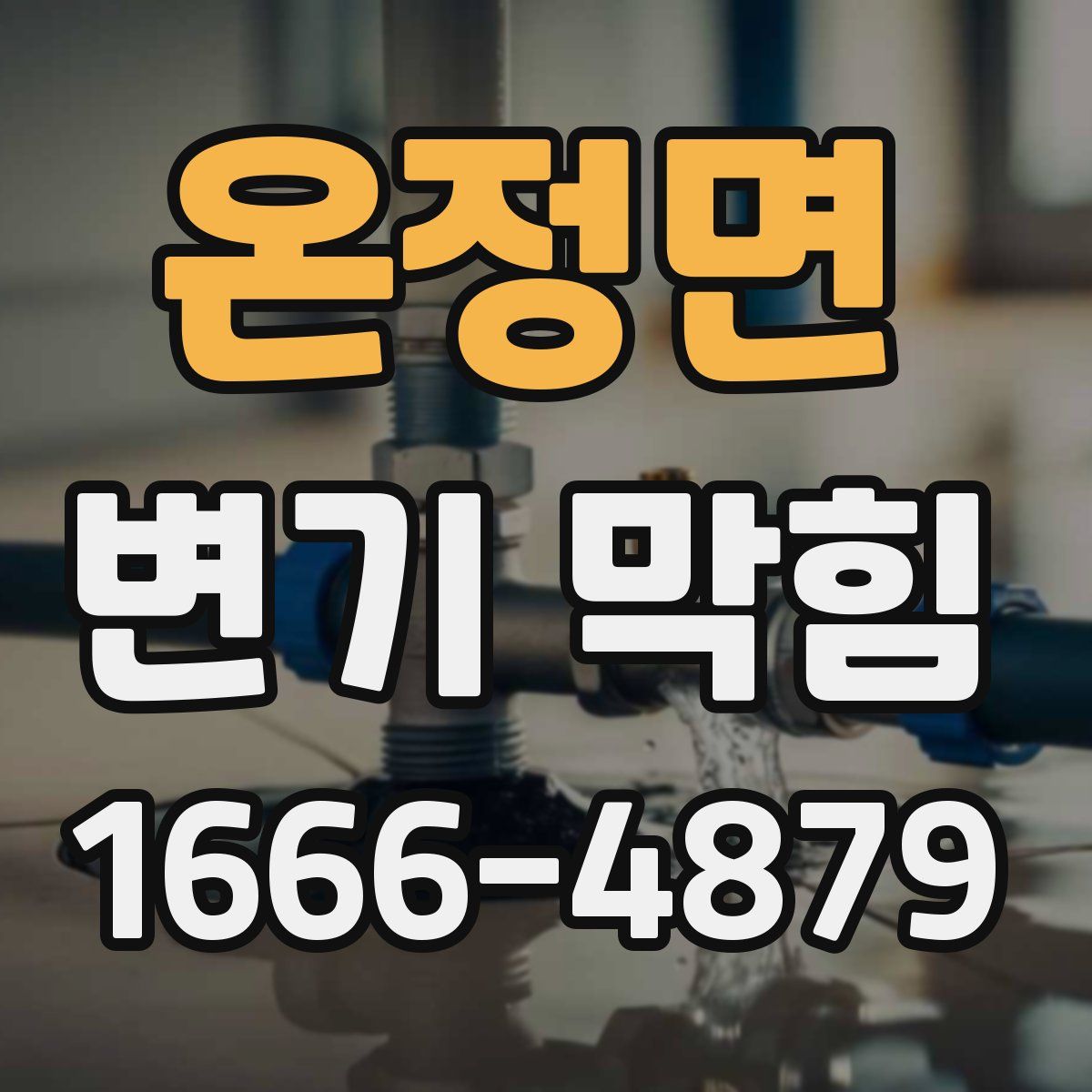 온정면 변기 막힘