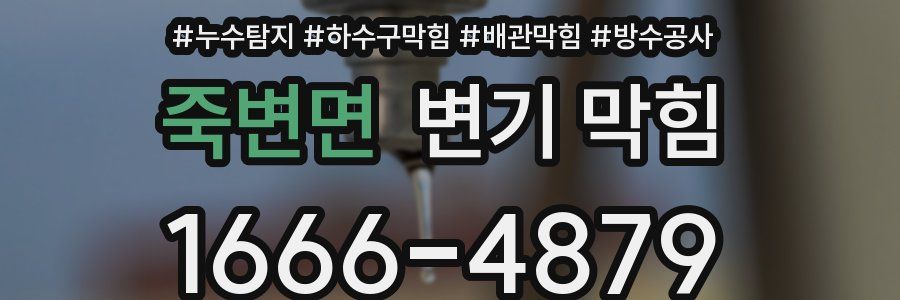 죽변면 변기 막힘