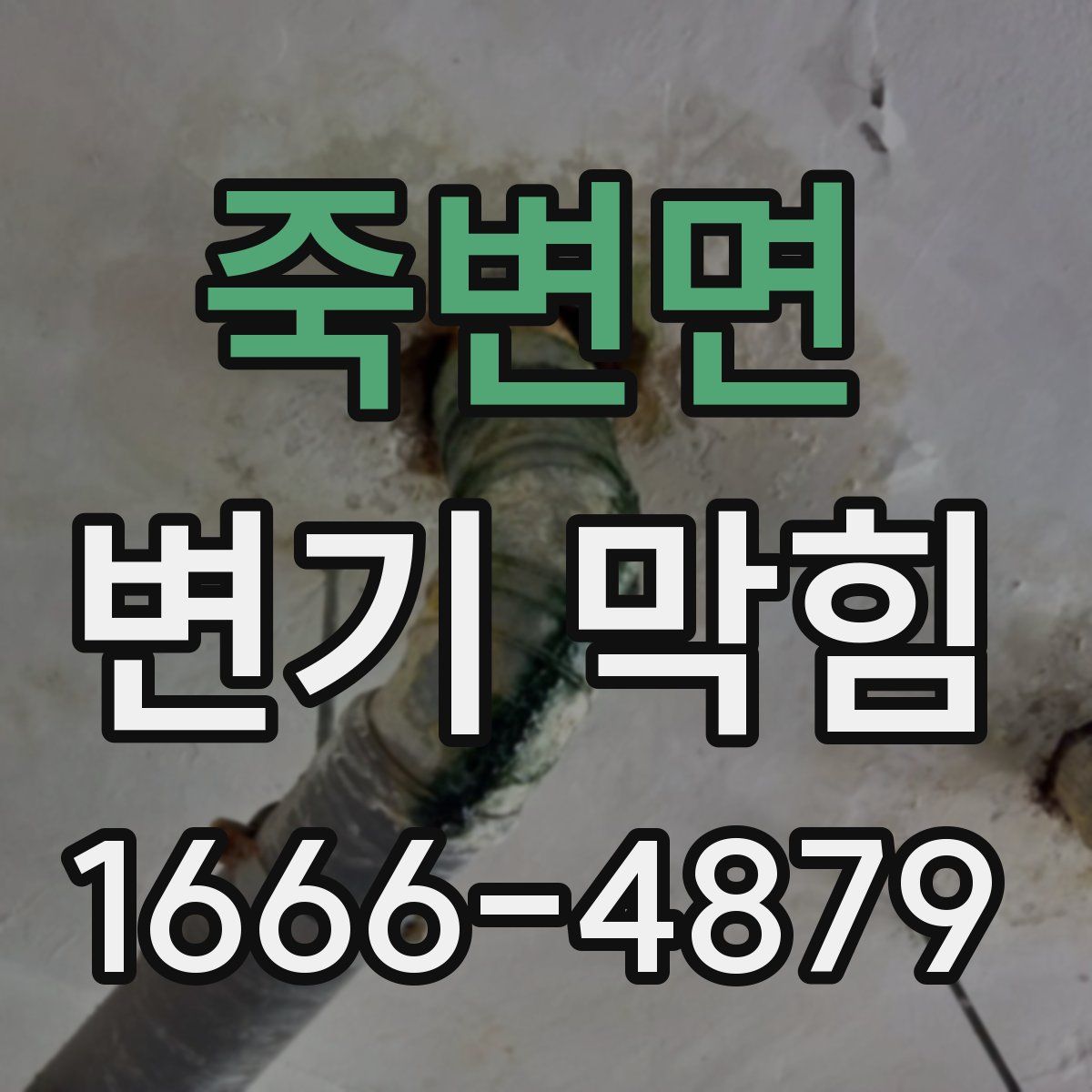 죽변면 변기 막힘