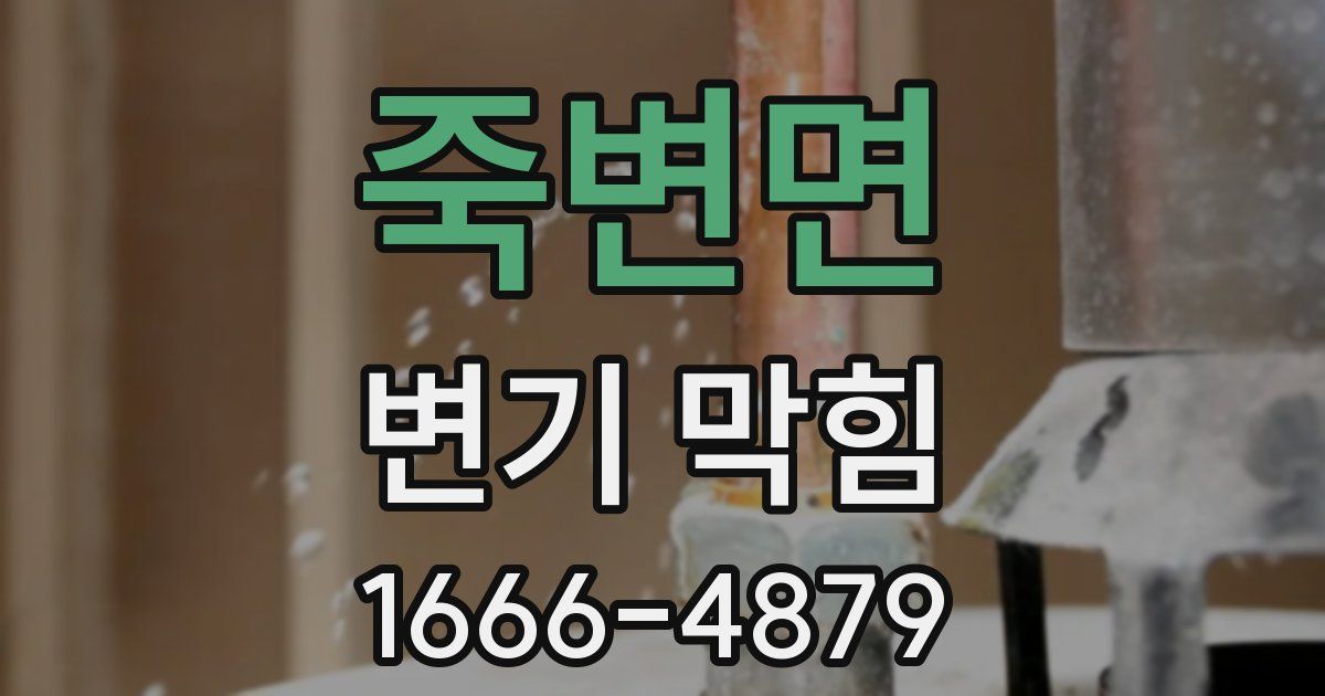 죽변면 변기 막힘