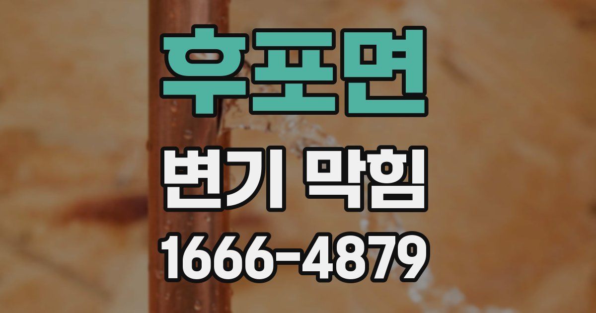 후포면 변기 막힘