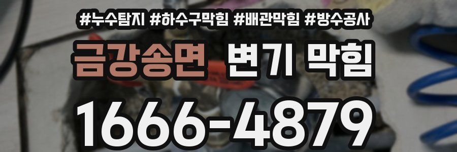 금강송면 변기 막힘