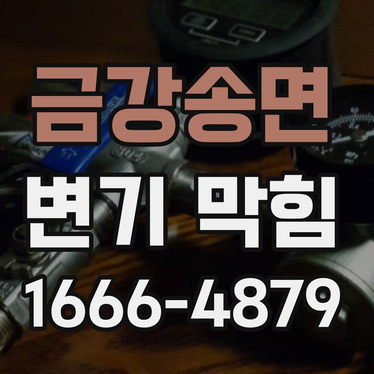 금강송면 변기 막힘