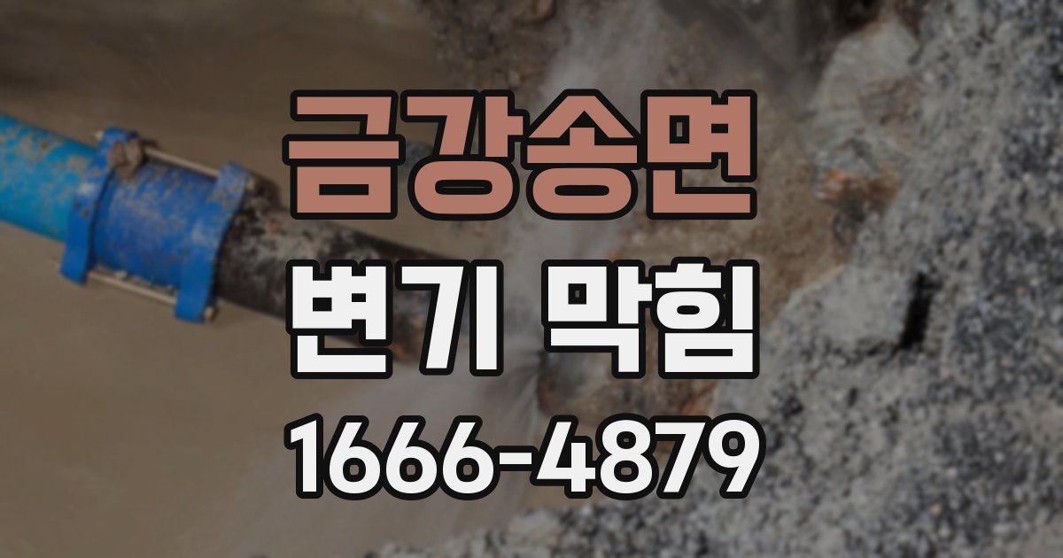 금강송면 변기 막힘