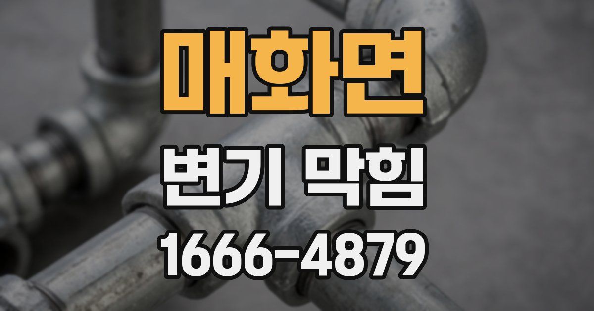 매화면 변기 막힘