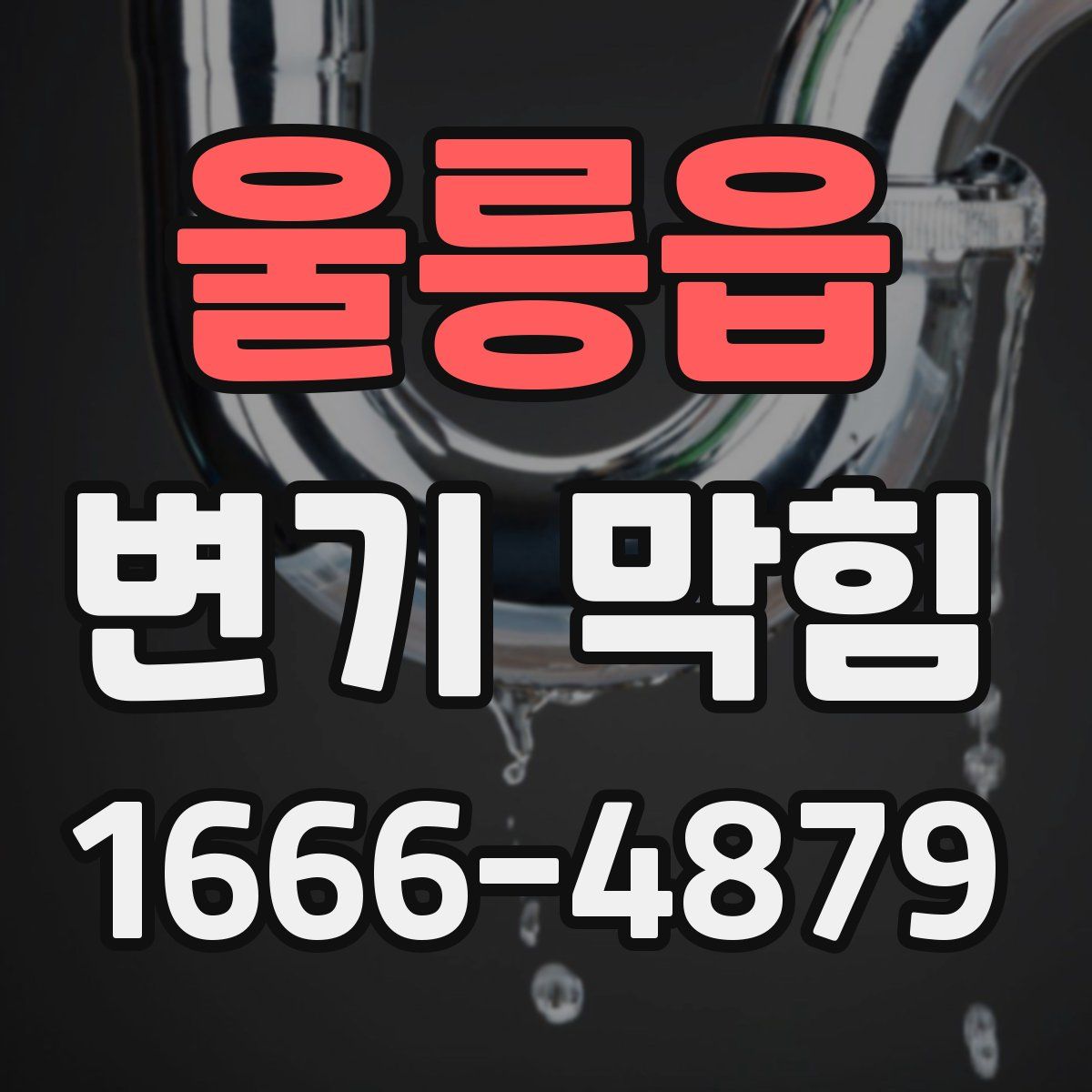 울릉읍 변기 막힘