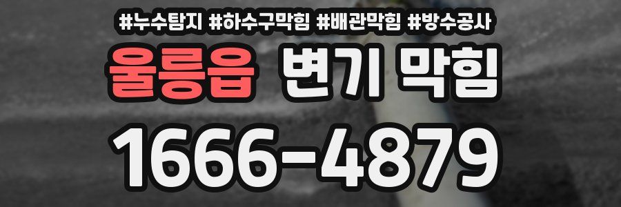 울릉읍 변기 막힘