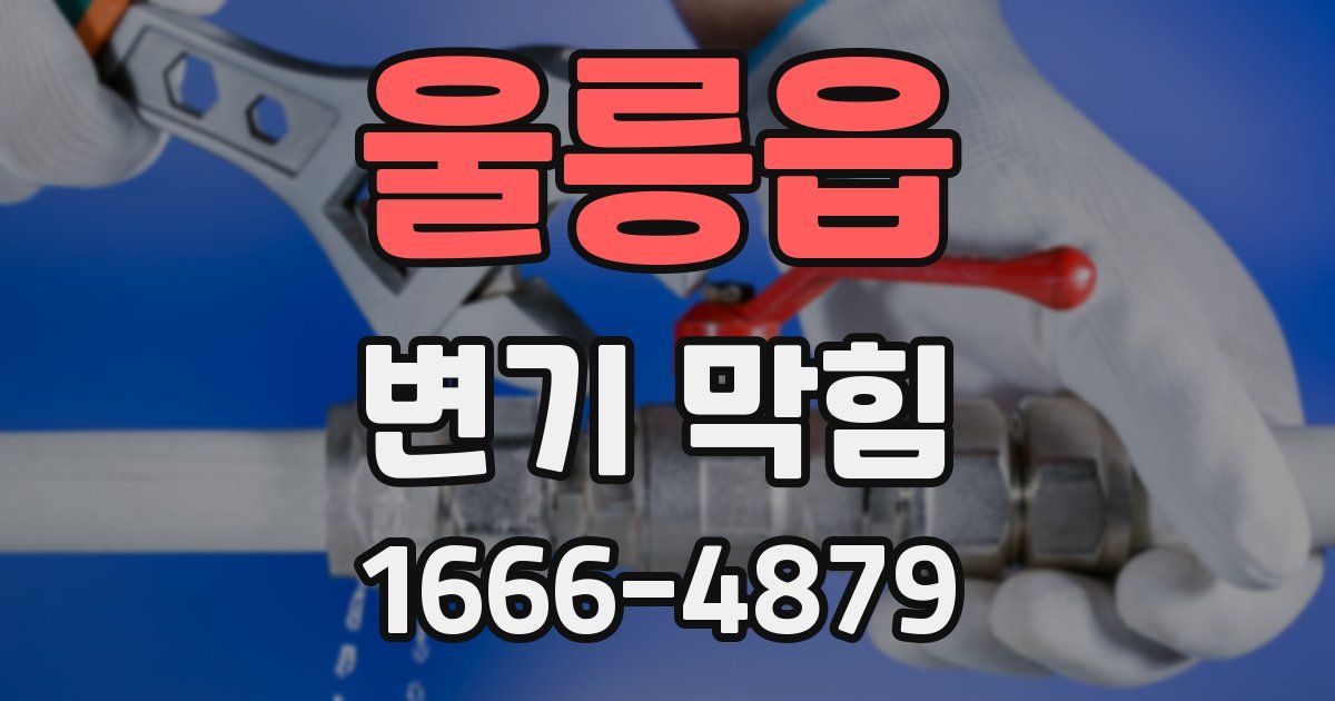 울릉읍 변기 막힘