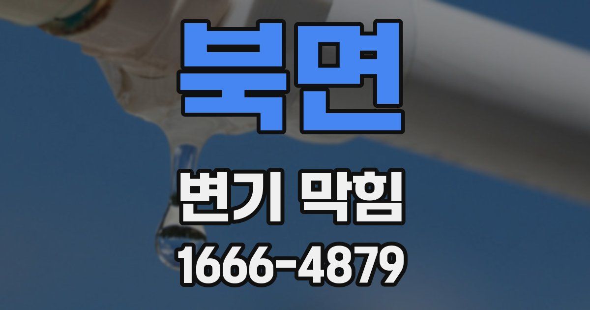 북면 변기 막힘