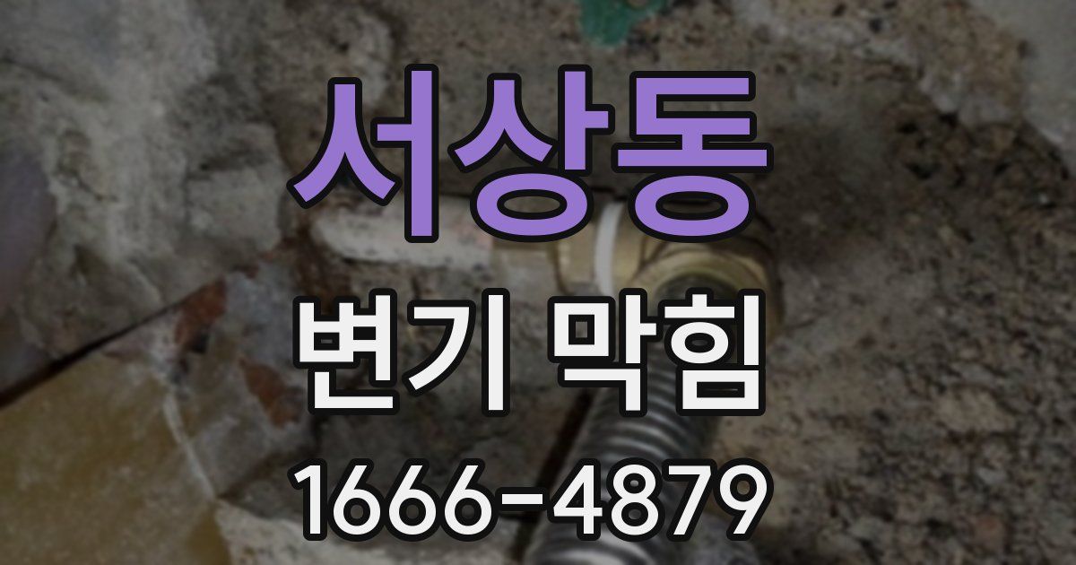 서상동 변기 막힘