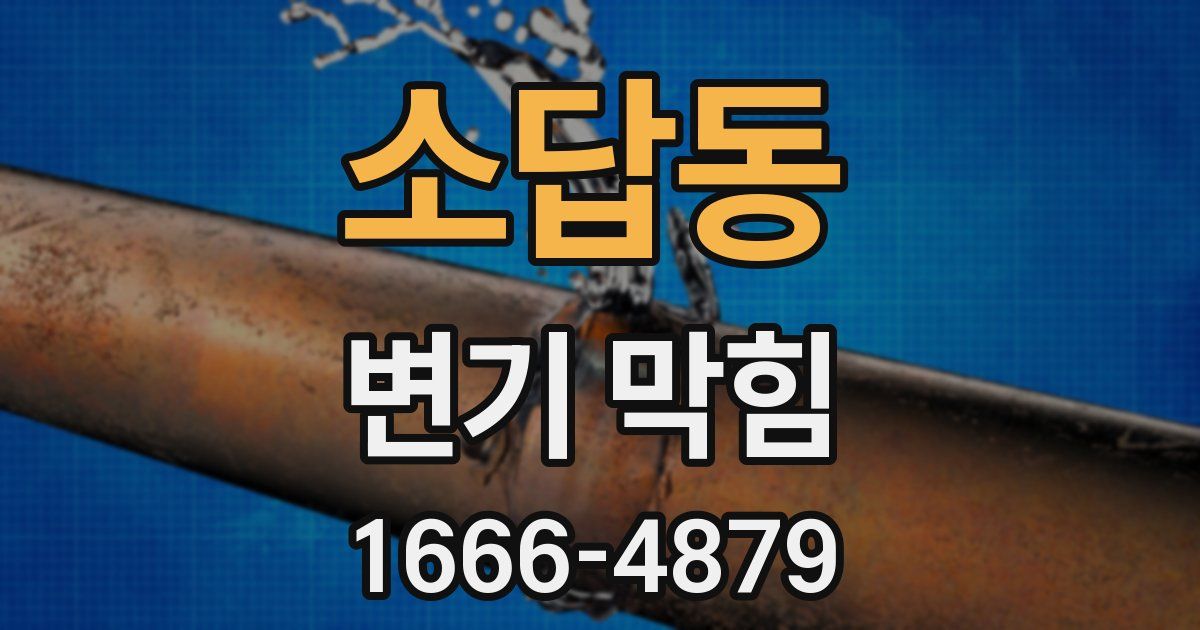 소답동 변기 막힘