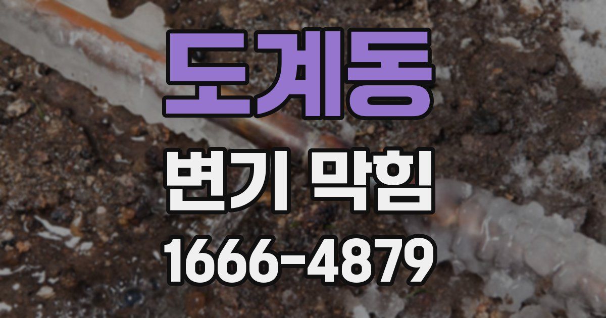 도계동 변기 막힘