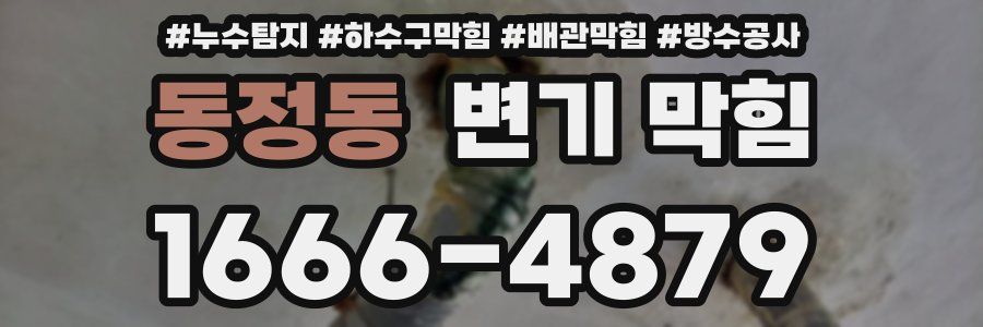 동정동 변기 막힘