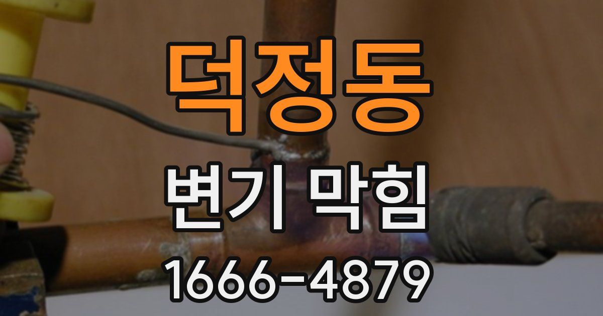 덕정동 변기 막힘