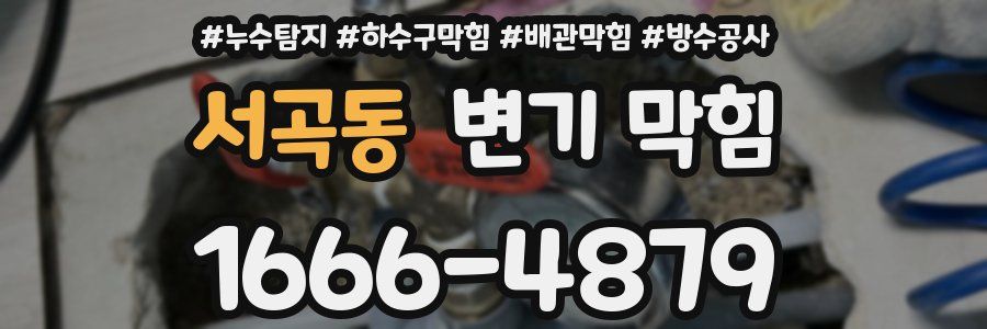 서곡동 변기 막힘